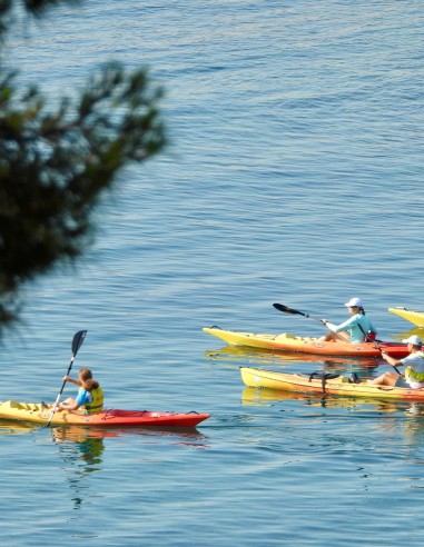 Coaching Kayak Premium Adultes