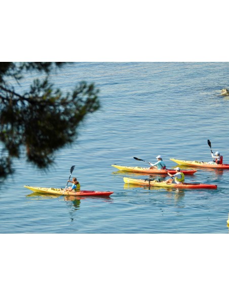 Coaching Kayak Premium Adultes